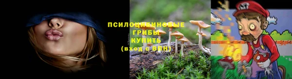 герыч Алексин
