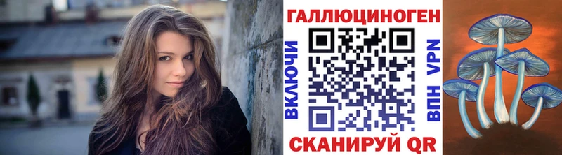 kraken рабочий сайт  darknet формула  Псилоцибиновые грибы Psilocybe  Малаховка 