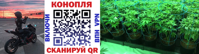 Марихуана Amnesia  Малаховка 